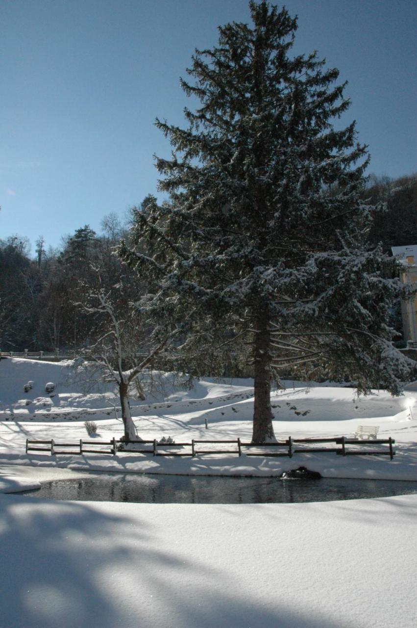 Appart Le Chili- Quartier Thermal- Parc Remarquable - Linge Fourni Luz-Saint-Sauveur Exterior foto